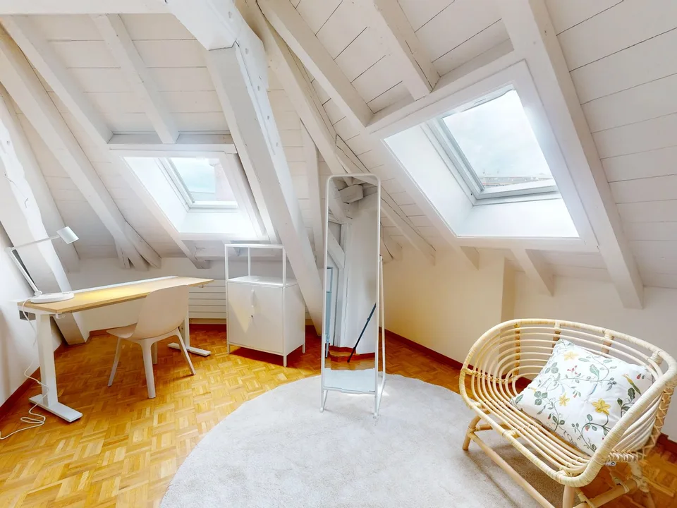 Charming furnished 1-bedroom apartment under the roof with exposed beams – Servette, Geneva – photo 5 of 10