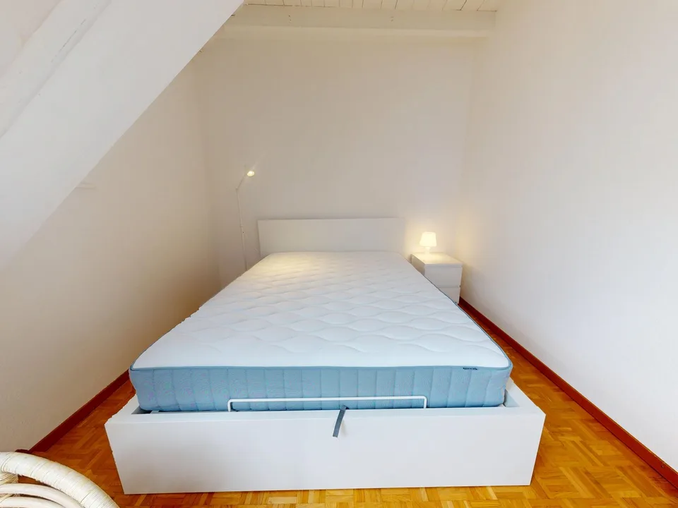 Charming furnished 1-bedroom apartment under the roof with exposed beams – Servette, Geneva – photo 8 of 10
