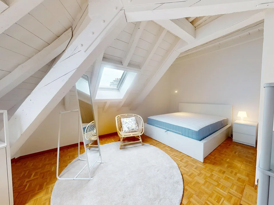 Charming furnished 1-bedroom apartment under the roof with exposed beams – Servette, Geneva – photo 9 of 10