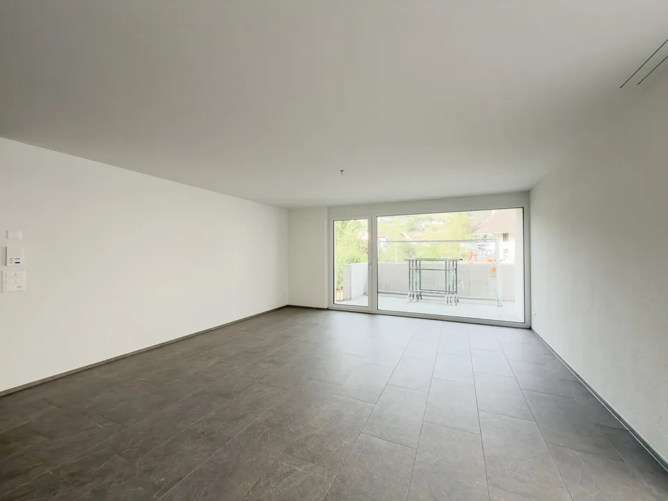 Erstvermietung - Grosszügige 4.5 Zimmer-Neubauwohnungen an ruhiger Lage – Foto 5 von 12