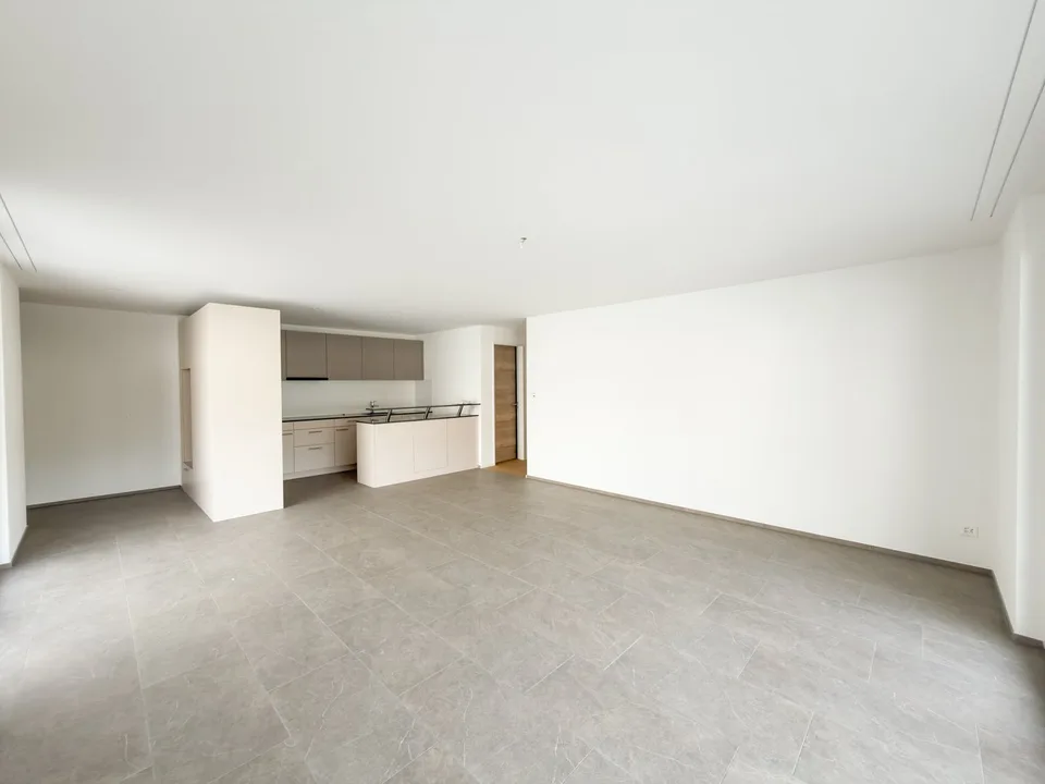 Erstvermietung - Grosszügige 4.5 Zimmer-Neubauwohnungen an ruhiger Lage – Foto 3 von 12