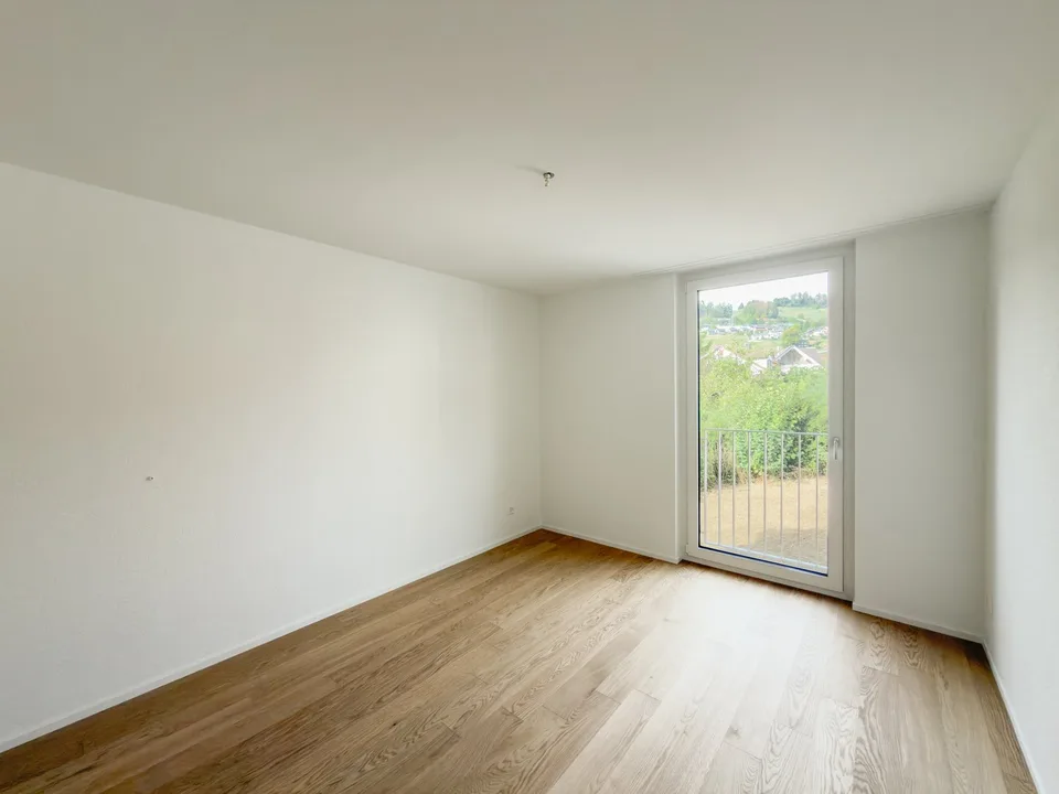 Erstvermietung - Grosszügige 4.5 Zimmer-Neubauwohnungen an ruhiger Lage – Foto 6 von 12