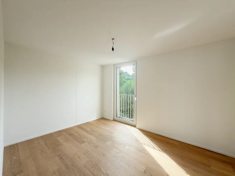 Erstvermietung - Grosszügige 4.5 Zimmer-Neubauwohnungen an ruhiger Lage – Foto 9 von 12