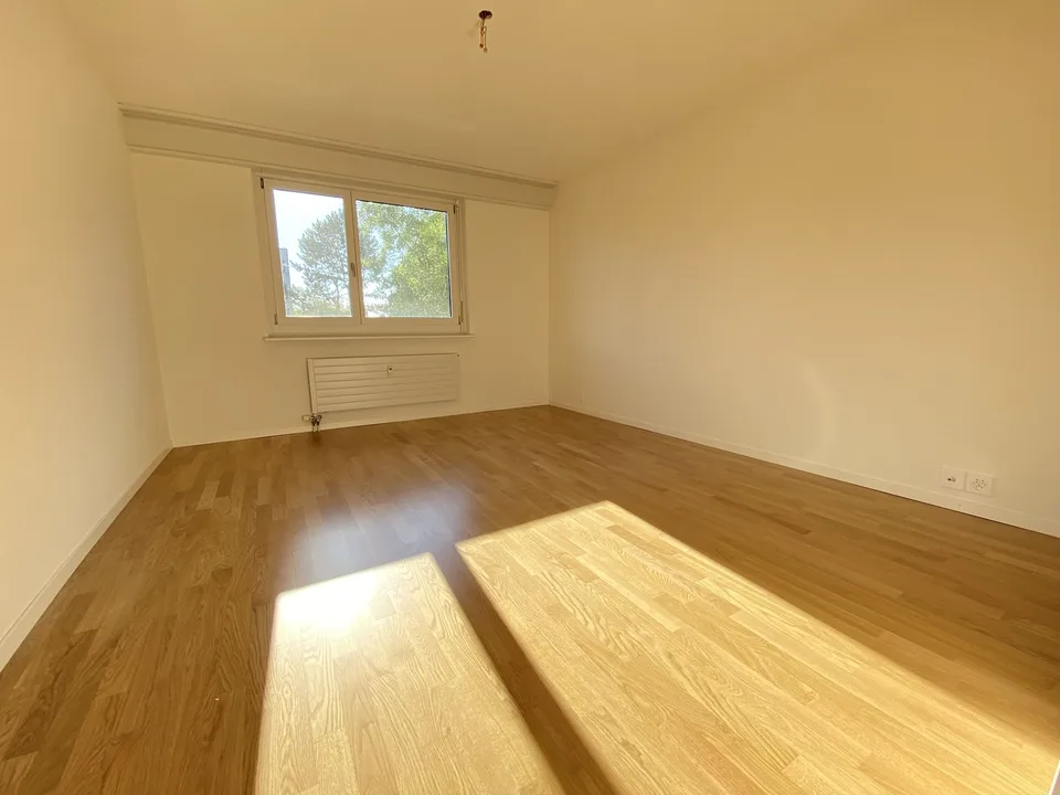 2020 rénové : appartement 3 pièces à Muttenz près de Bâle & Münchenstein – photo 6 sur 7