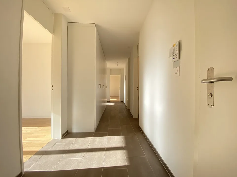 2020 rénové : appartement 3 pièces à Muttenz près de Bâle & Münchenstein – photo 7 sur 7