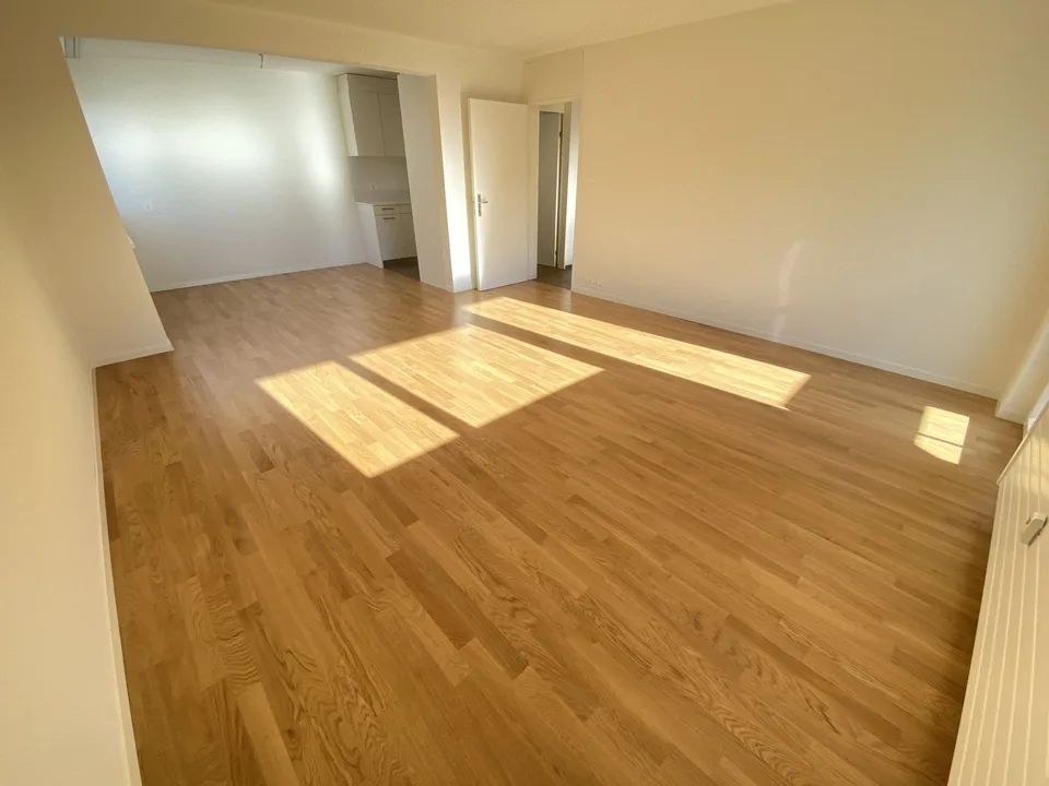 2020 rénové : appartement 3 pièces à Muttenz près de Bâle & Münchenstein – photo 3 sur 7