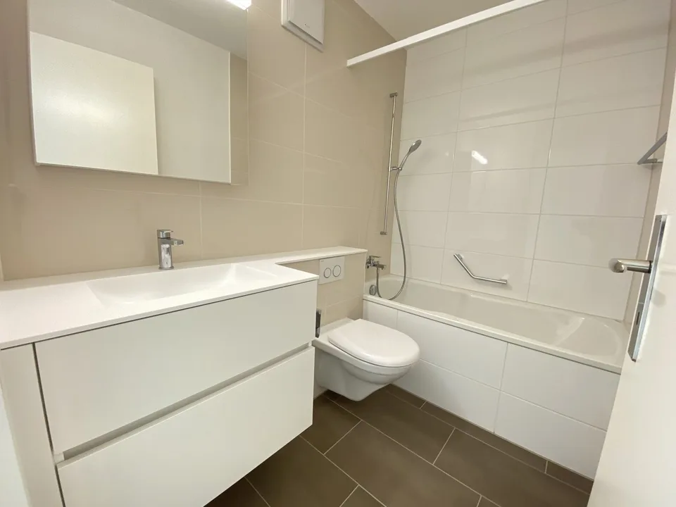 2020 rénové : appartement 3 pièces à Muttenz près de Bâle & Münchenstein – photo 4 sur 7