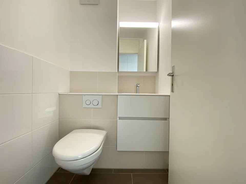 2020 rénové : appartement 3 pièces à Muttenz près de Bâle & Münchenstein – photo 5 sur 7