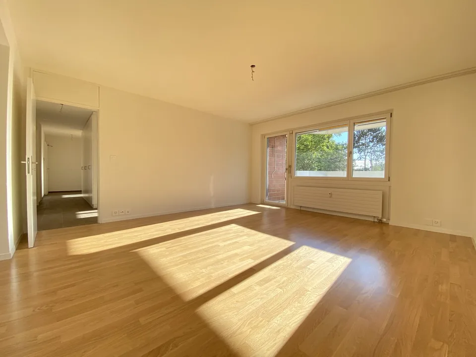 2020 rénové : appartement 3 pièces à Muttenz près de Bâle & Münchenstein – photo 2 sur 7