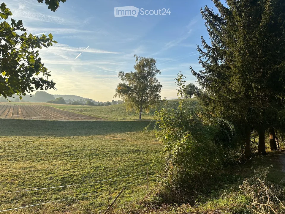 Single-family house in the countryside – photo 2 of 16