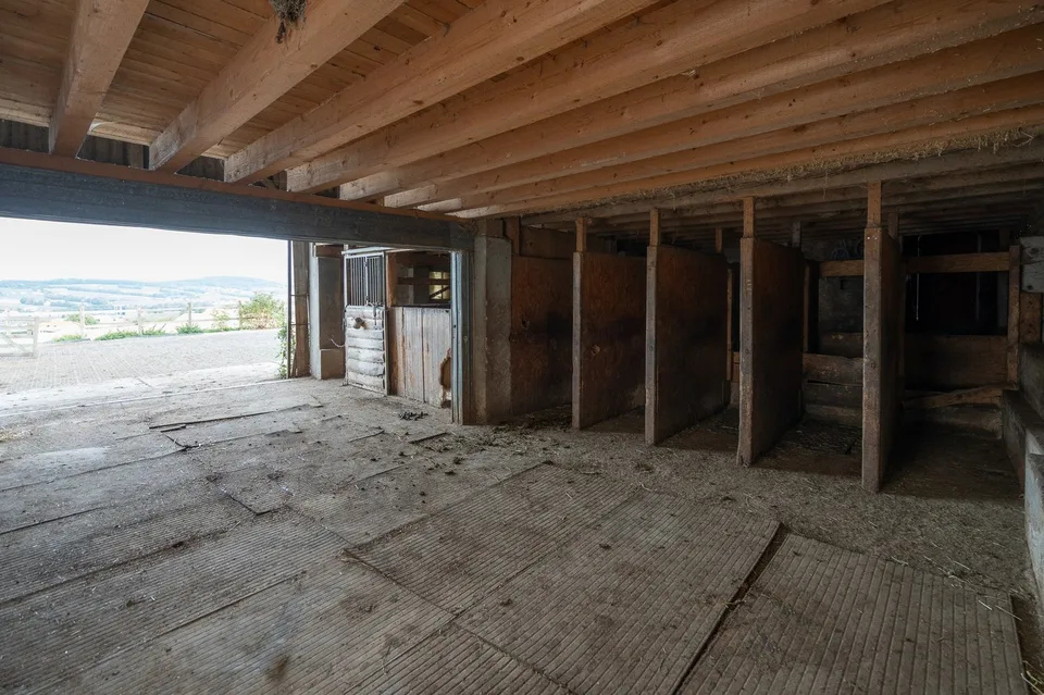 Azienda Equina con 6 Alloggi e 10'474 m² di Terreno – foto 8 di 13