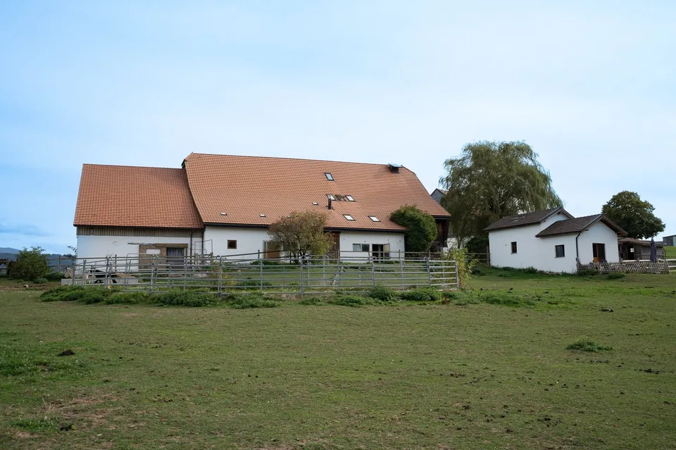Azienda Equina con 6 Alloggi e 10'474 m² di Terreno – foto 4 di 13