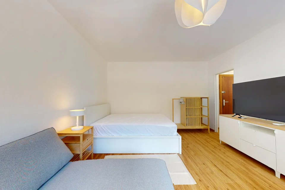 Furnished 30 m² Studio with Separate Kitchen – Plainpalais, Geneva – photo 4 of 8