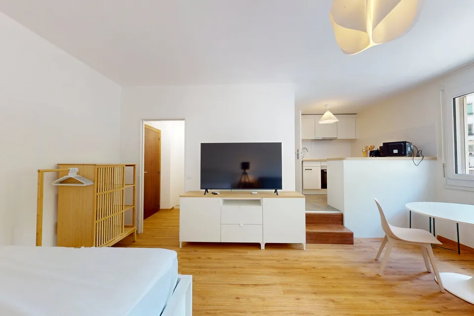 Furnished 30 m² Studio with Separate Kitchen – Plainpalais, Geneva – photo 3 of 8
