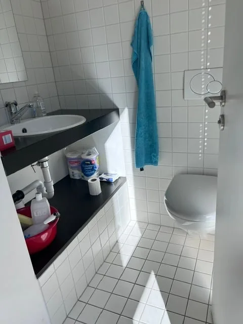 Wohnung und Büro in Brugg AG – Foto 5 von 11