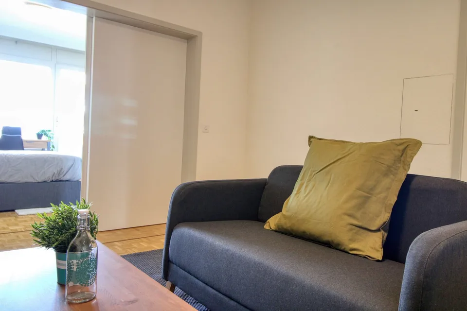 Coliving Spacieux et Moderne à Grand-Saconnex, Genève – foto 24 di 45
