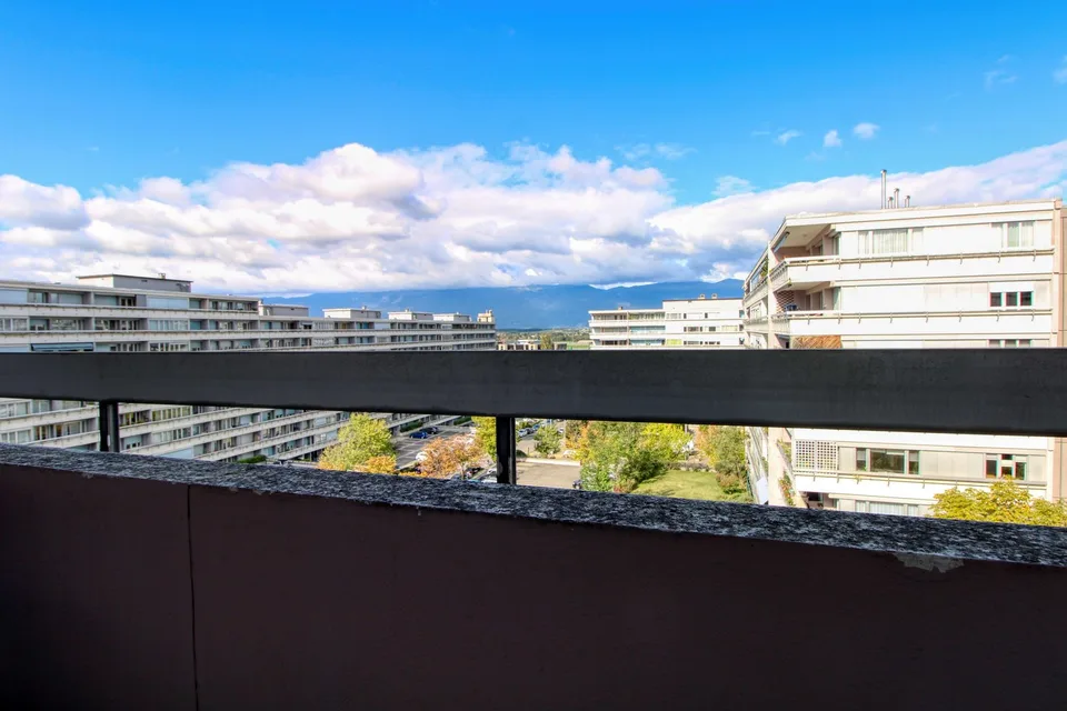 Coliving Spacieux et Moderne à Grand-Saconnex, Genève – foto 2 di 45