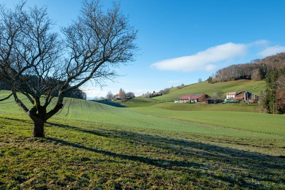 Le Case di Forel - Villa B – foto 4 di 10