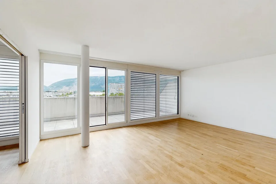 Bel dupplex mansardato a Grand-Lancy – foto 4 di 7
