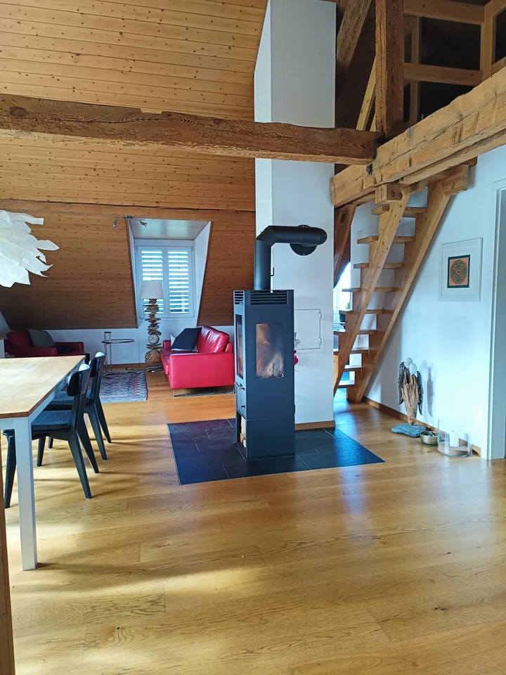 Appartement en mansarde lumineux 3,5 pièces avec terrasse à Galmiz – photo 5 sur 15
