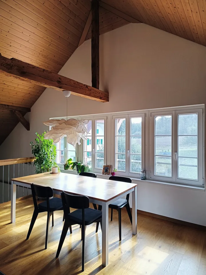 Appartement en mansarde lumineux 3,5 pièces avec terrasse à Galmiz – photo 3 sur 15