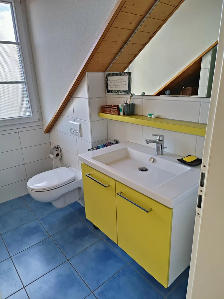 Appartement en mansarde lumineux 3,5 pièces avec terrasse à Galmiz – photo 9 sur 15