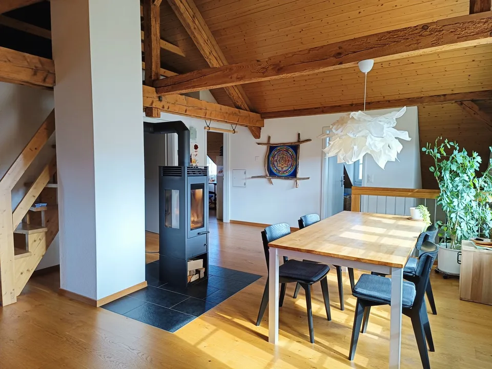 Appartement en mansarde lumineux 3,5 pièces avec terrasse à Galmiz – photo 4 sur 15