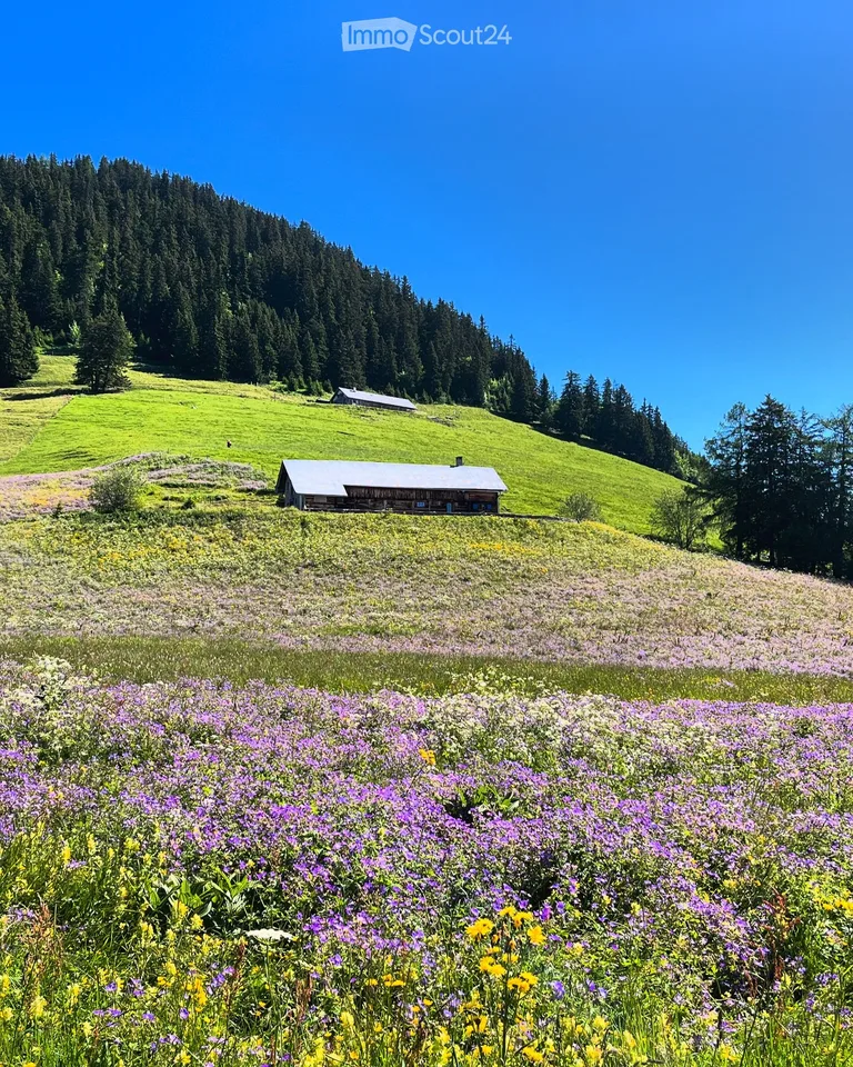 Chalet zur Miete in ruhiger Lage in Leysin für Wintersaison 26/27 – Foto 3 von 5