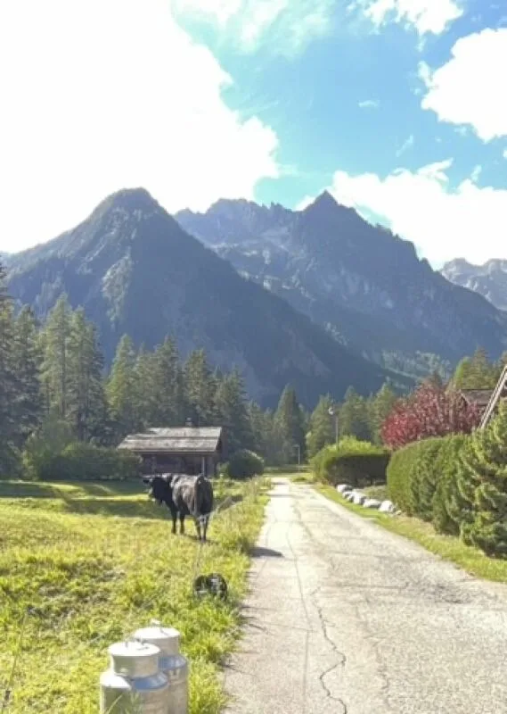 Baugrundstück in der Gemeinde Orsières – Foto 5 von 6