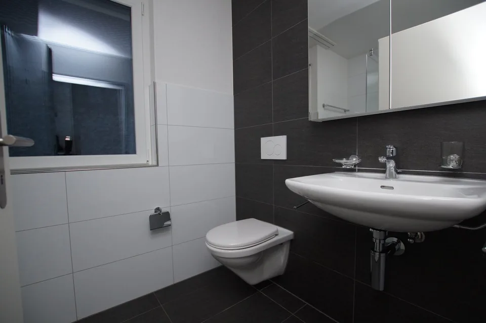 Appartamento attraente e ben curato di 2,5 locali – foto 5 di 8