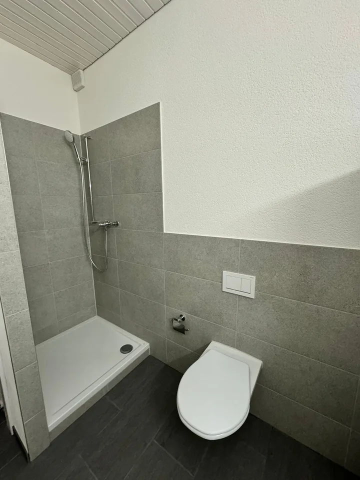 Renovierte 4.5-Zimmer-Duplex-Dachwohnung an zentraler Lage – Foto 9 von 9