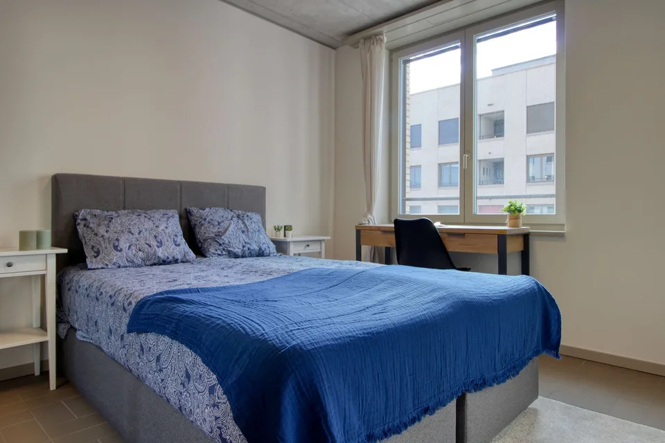 Möbliertes Studio mit eigener Küche und eigenem Bad im Neubau in Schlieren – Foto 8 von 26