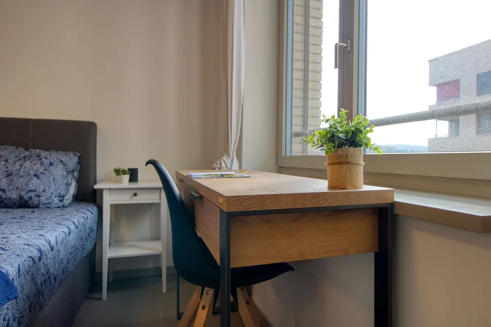 Möbliertes Studio mit eigener Küche und eigenem Bad im Neubau in Schlieren – Foto 7 von 26