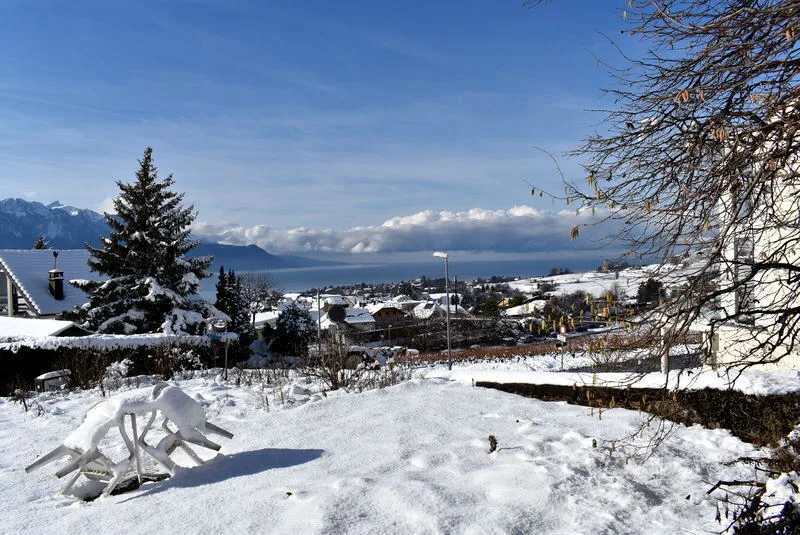 MAISON 5½ PIÈCES À CHAILLY-MONTREUX (VD), MEUBLÉ – foto 10 di 10