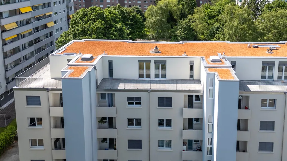 Moderne 2.5-Zimmer-Attikawohnung mit zwei grosszügigen Terrassen in Nidau – Foto 9 von 12