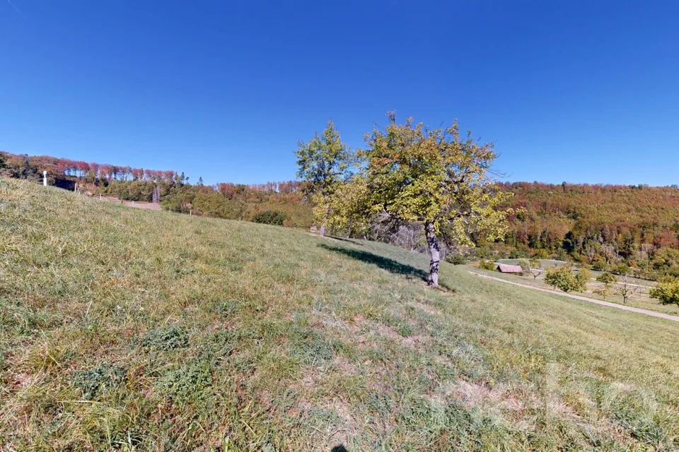 Generous building land with attractive development potential – photo 7 of 12