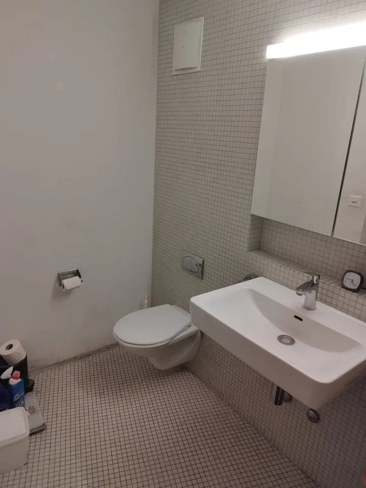 2½ ZI-WOHNUNG IN DIETIKON (ZH), MÖBLIERT, TEMPORÄR – foto 4 di 7