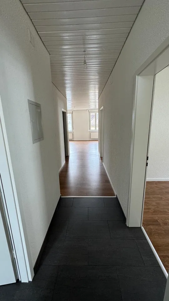 Appartamento ristrutturato di 4,5 locali con balcone in posizione centrale – foto 8 di 9