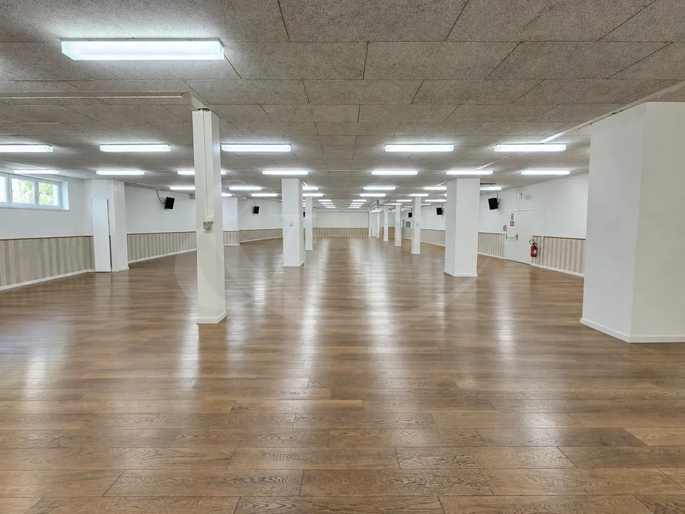 Carouge ? Superficie commerciale di 745 m² al piano terra, in due lotti PPE, affittata fino al 2027 – foto 3 di 6