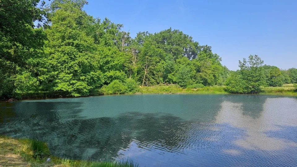 Freizeitgrundstück mit 2 Teichen in Saint-Ulrich (68210) – 10.100 m² – Foto 3 von 10