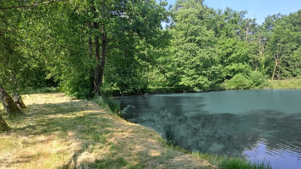 Freizeitgrundstück mit 2 Teichen in Saint-Ulrich (68210) – 10.100 m² – Foto 2 von 10