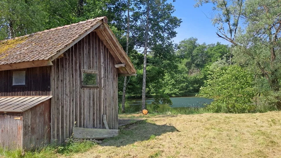 Freizeitgrundstück mit 2 Teichen in Saint-Ulrich (68210) – 10.100 m² – Foto 10 von 10