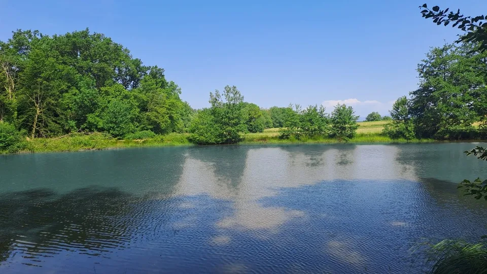 Freizeitgrundstück mit 2 Teichen in Saint-Ulrich (68210) – 10.100 m² – Foto 5 von 10