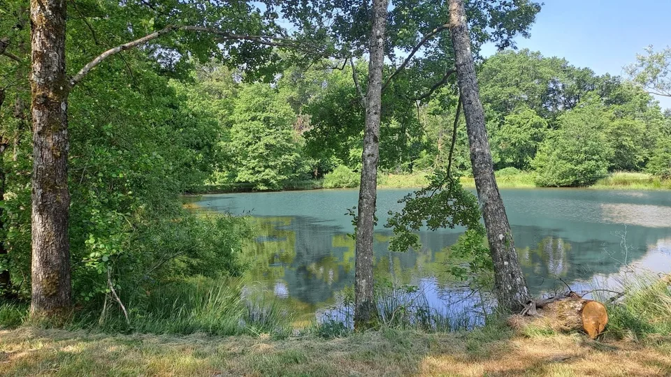 Freizeitgrundstück mit 2 Teichen in Saint-Ulrich (68210) – 10.100 m² – Foto 9 von 10
