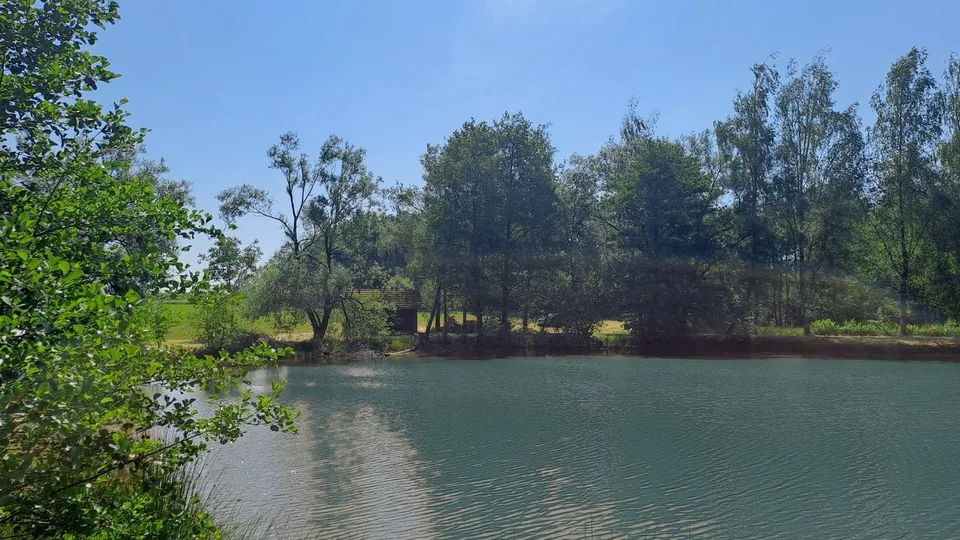 Freizeitgrundstück mit 2 Teichen in Saint-Ulrich (68210) – 10.100 m² – Foto 8 von 10