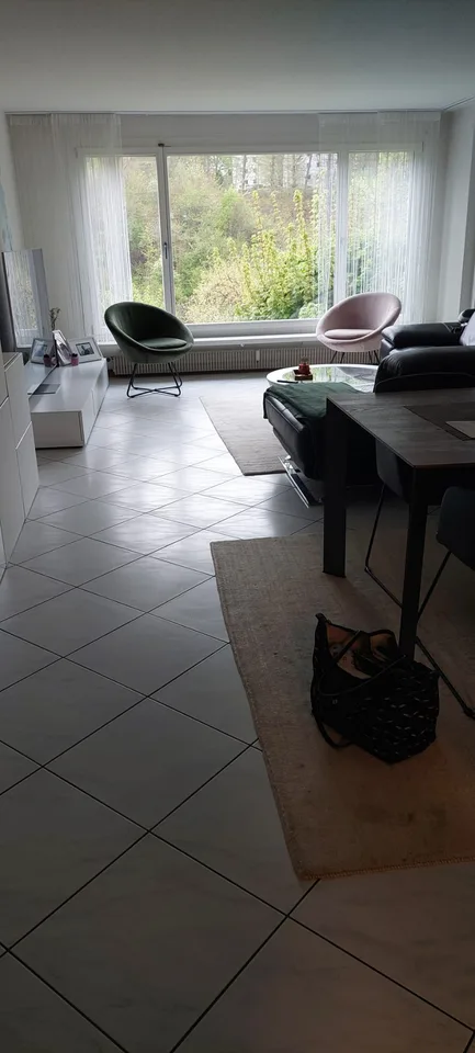Beautiful and bright 4.5-room apartment with a view of the Aare – photo 6 of 6