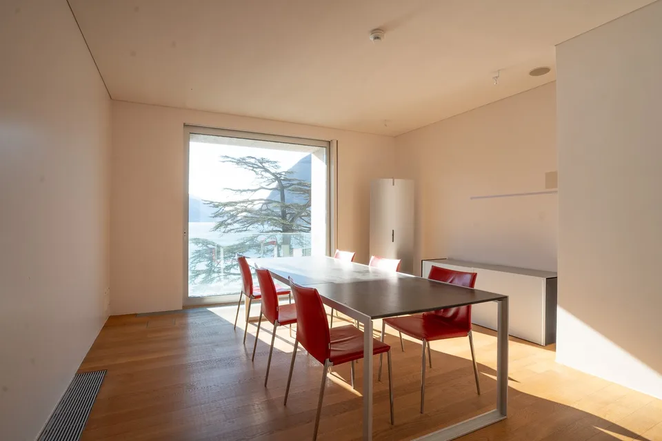 LUGANO CENTRO - Splendido ufficio fronte lago – foto 13 di 13