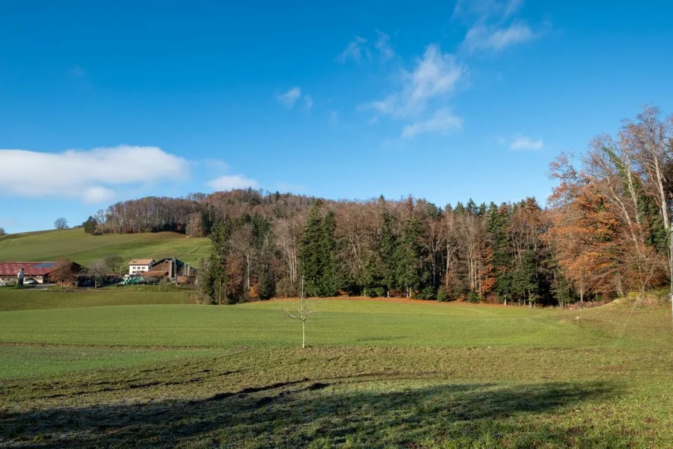 Die Häuser von Forel - Villa A – Foto 4 von 10
