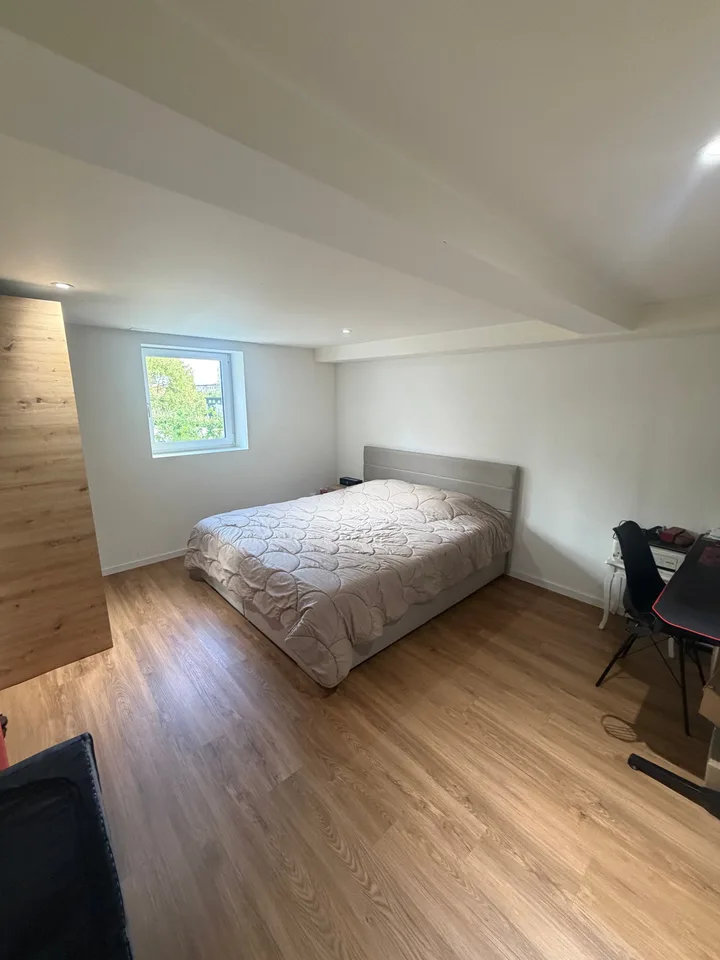 Incantevole appartamento di 2 camere al piano inferiore a Bischofszell – foto 7 di 7
