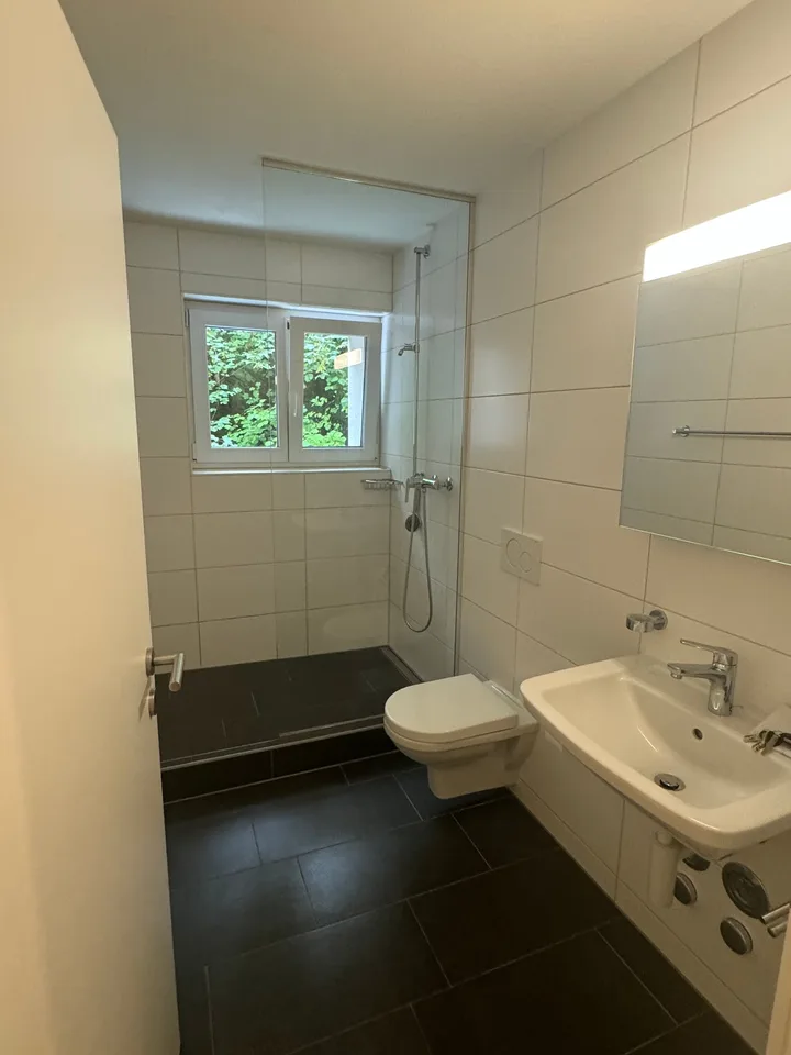 Appartamento di 4.5 locali in affitto a Rümlingen – foto 4 di 7